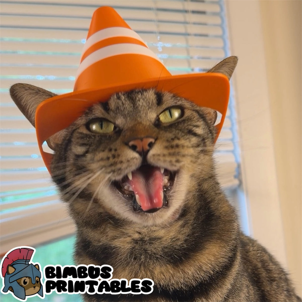 Traffic Cone Helmet