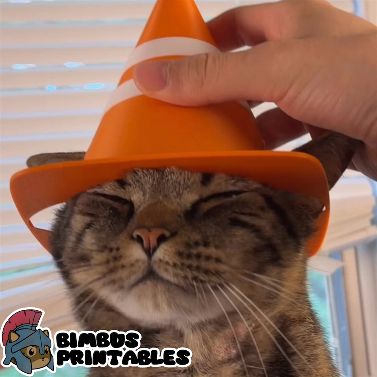 Traffic Cone Helmet