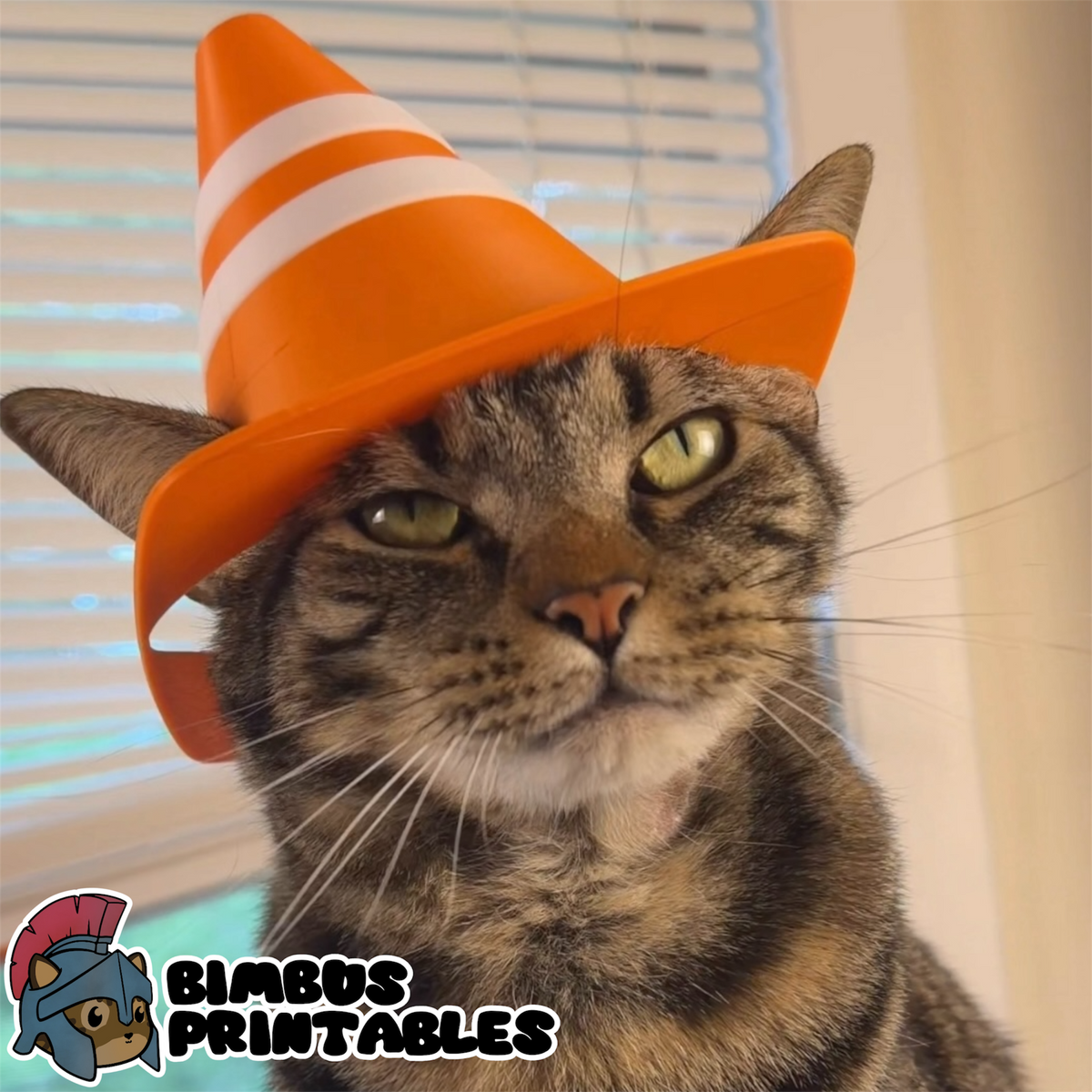 Traffic Cone Helmet