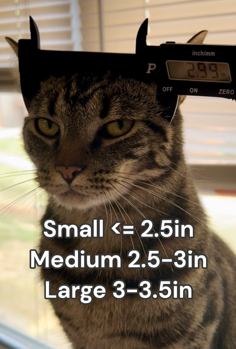 Winged Hussar Cat Helmet [Physical Helmet]