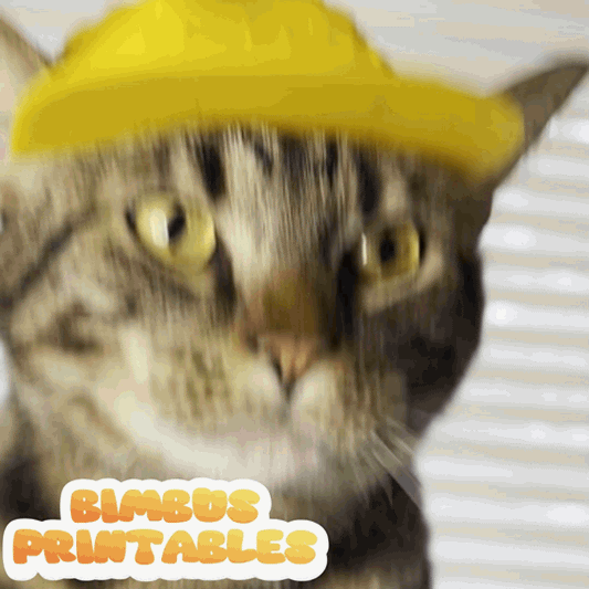 Baseball Cat Cap [Physical Product]
