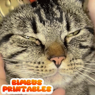 Chaos Knight Bimbus Cat Helmet