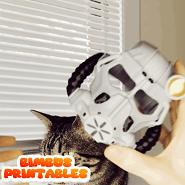 Atomic Fallout Bimbus Cat Helmet [Physical Product]
