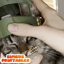 Master Bimbus Cat Helmet  [Physical Product]