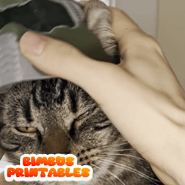 Bimbus The Slayer Cat Helmet  [Physical Product]