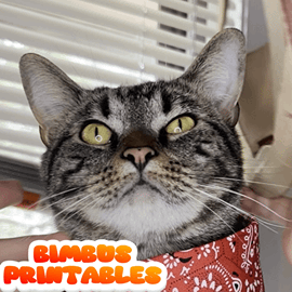 Cowboy Cat Hat [Physical Product]