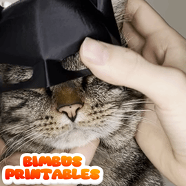 BatBimbus Cat Hat [Physical Product]