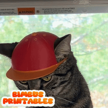 Baseball Cat Cap [Physical Product] (NEW)