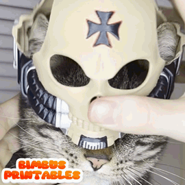 GrimBimbus Cat Helmet  [Physical Product]