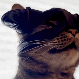 Iron Cat Helmet [Physical Product]