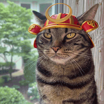 Samurai Bimbus Cat Helmet