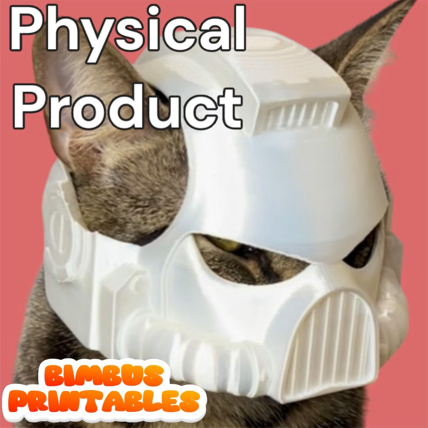 SpaceBimbus Cat Helmet Mark VIII  [Physical Product]