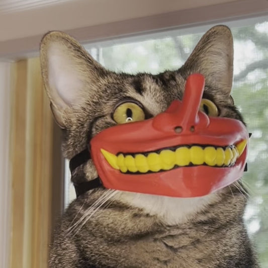 Mego Nose, Tengu Cat Mask
